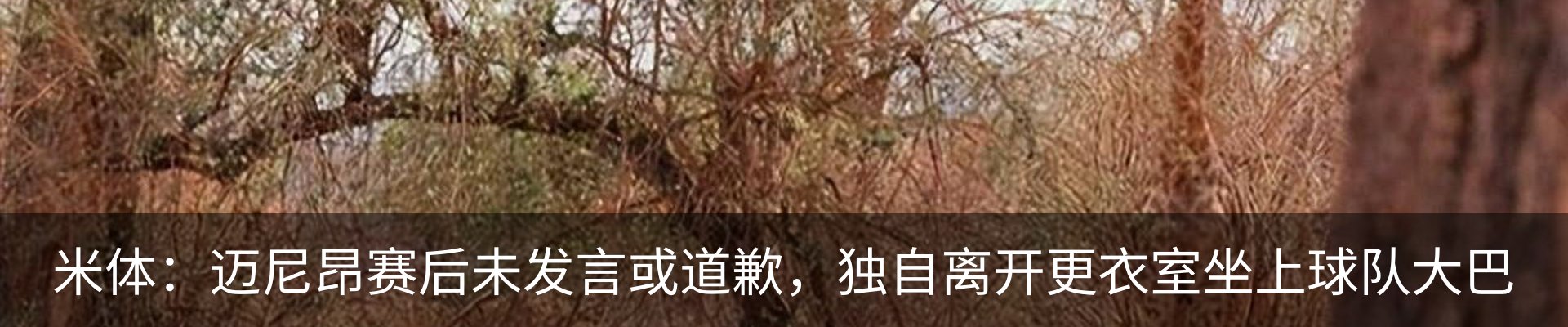 新闻中心